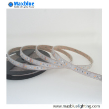 RGBW SMD LED Strip Light Bande de lumière étanche